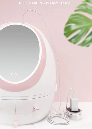 LED Beauty Mirror Cosmetic Case
