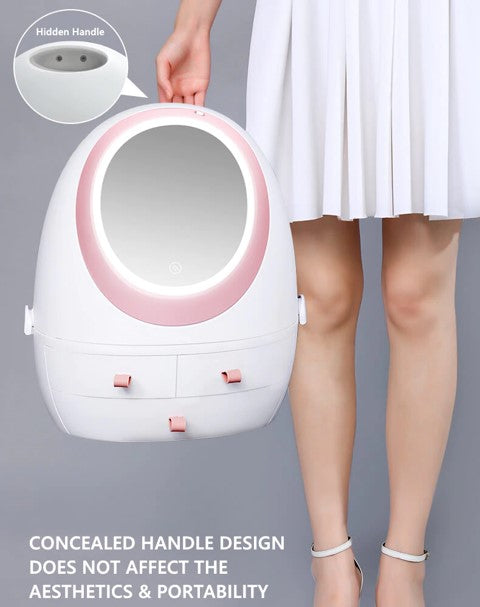 LED Beauty Mirror Cosmetic Case