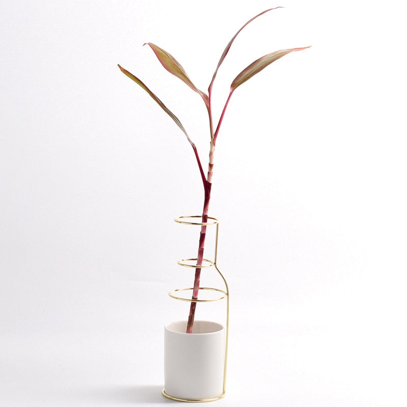 Flower Vase with Incomplete Shape of Outer Wire