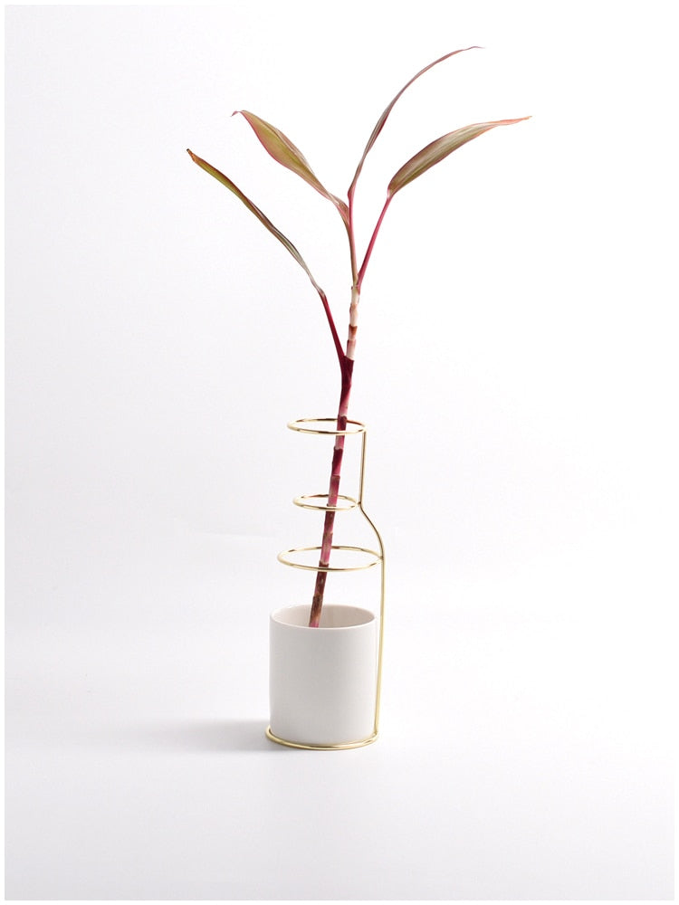 Flower Vase with Incomplete Shape of Outer Wire