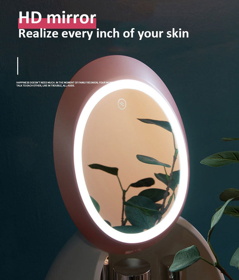 LED Beauty Mirror Cosmetic Case