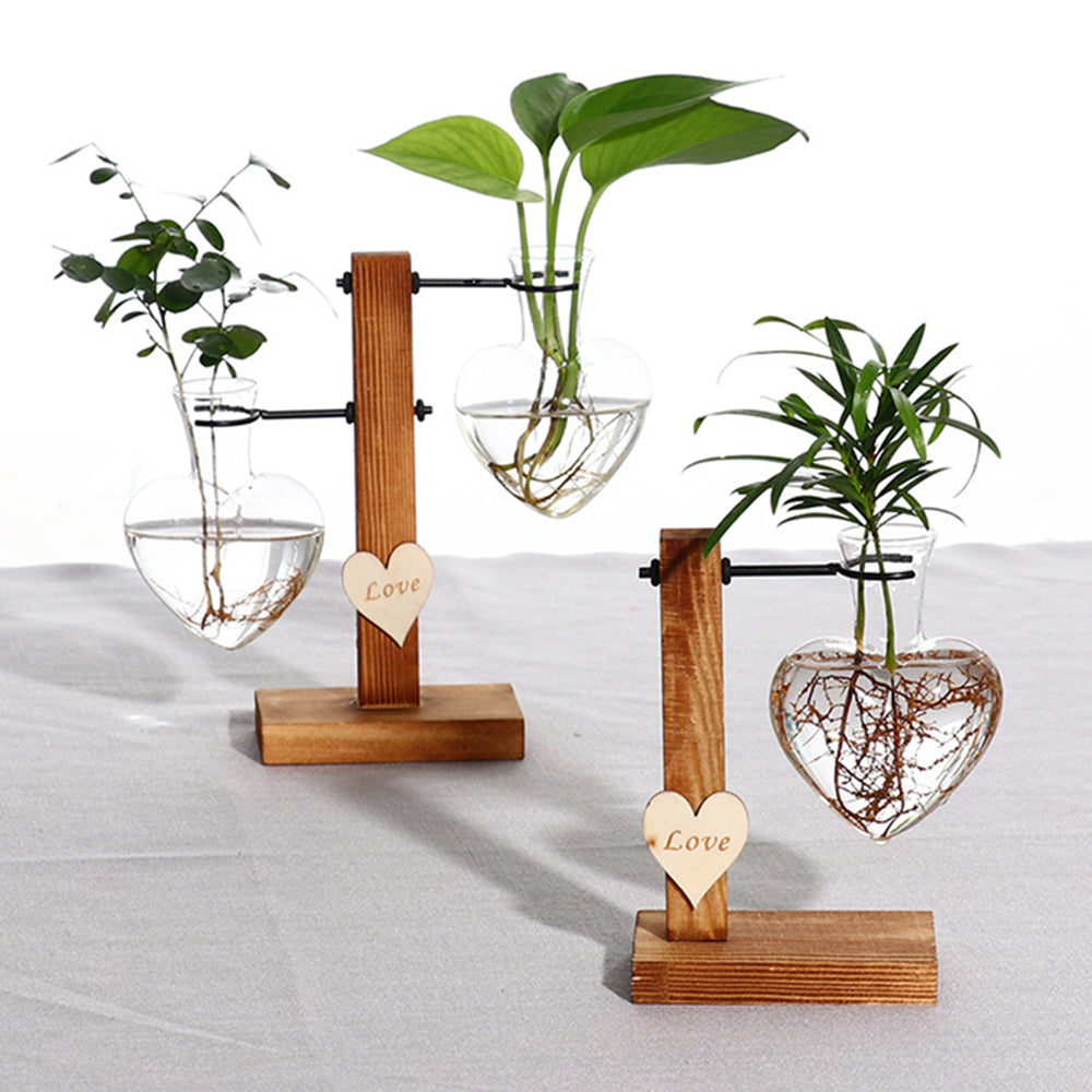 Terrarium Hydroponic Heart Shape Plant Vase