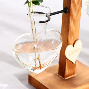 Terrarium Hydroponic Heart Shape Plant Vase