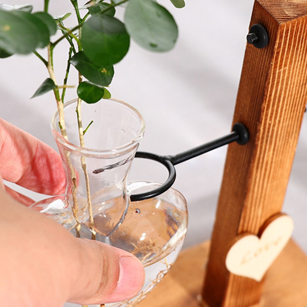 Terrarium Hydroponic Heart Shape Plant Vase