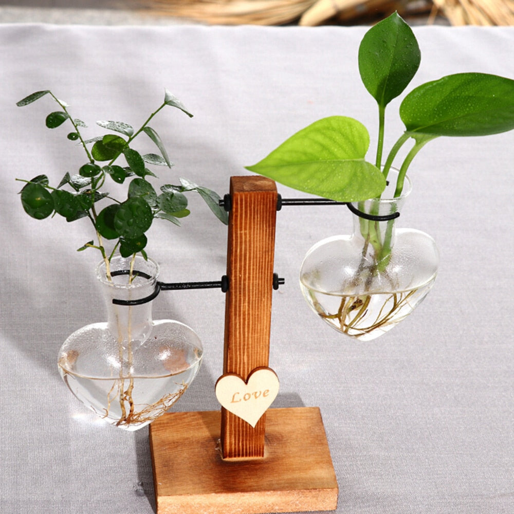 Terrarium Hydroponic Heart Shape Plant Vase