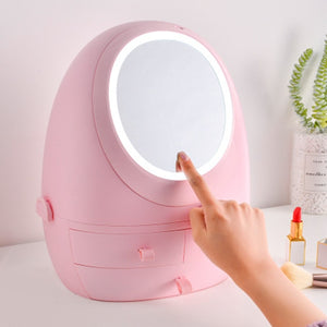 LED Beauty Mirror Cosmetic Case