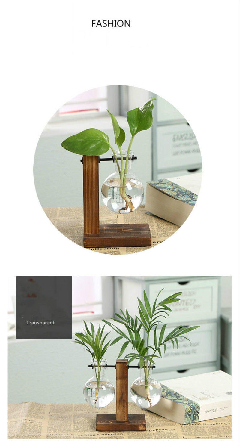 Terrarium Hydroponic Plant Vase