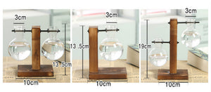 Terrarium Hydroponic Plant Vase