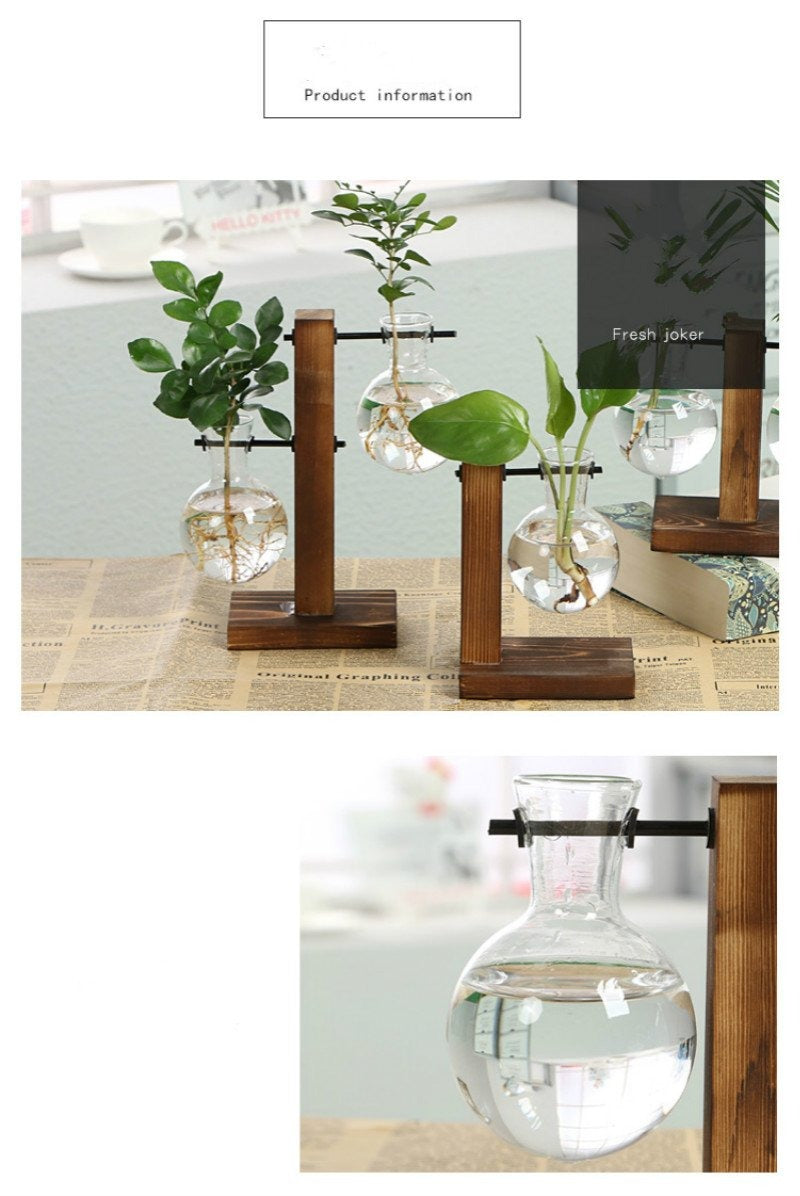 Terrarium Hydroponic Plant Vase