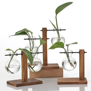 Terrarium Hydroponic Plant Vase