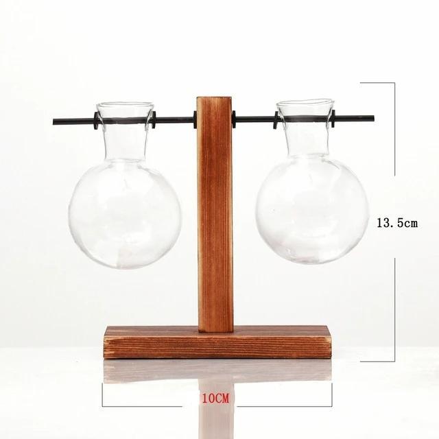 Terrarium Hydroponic Plant Vase