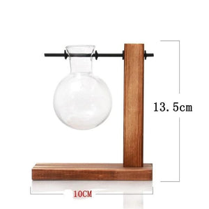 Terrarium Hydroponic Plant Vase
